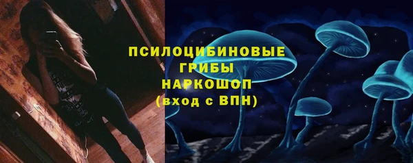 эйфоретик Арсеньев