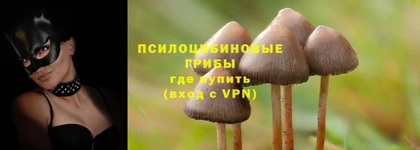 mdpv Армянск