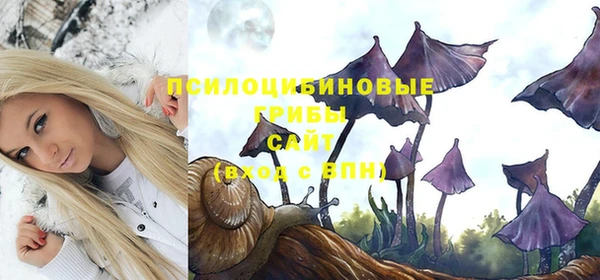 эйфоретик Аркадак
