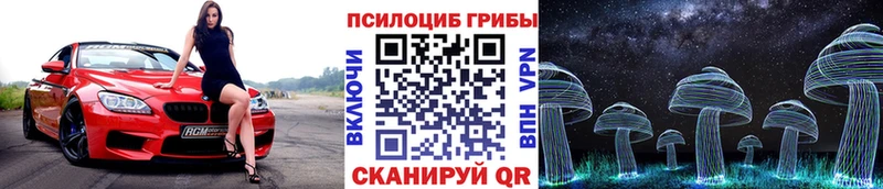 Галлюциногенные грибы Cubensis  МЕГА сайт  Светогорск 